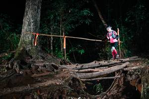 BIB: 
                            <button type="button" onclick="openModal(27361257)" class="btn btn-primary btn-sm float-right btn-popup" data-toggle="modal" data-target=".modal-high-quality">
                        <i class="fas fa-shopping-cart"></i> Add to Cart
                    </button>
                                            <button type="button" onclick="isThisMe(27361257, true)" class="btn btn-success btn-sm float-right btn-popup btn-isme hidden" data-toggle="tooltip" data-placement="bottom" title="นี่คือรูปของคุณใช่ไหม คลิกที่นี่เพื่อเอาเข้าอัลบั้ม">
                        <i class="fas fa-plus"></i> Add to album
                    </button>
                    <button type="button" onclick="isThisMe(27361257, false)" class="btn btn-warning btn-sm float-right btn-popup btn-isnotme hidden">
                        <i class="fas fa-ban"></i> Remove from album
                    </button>